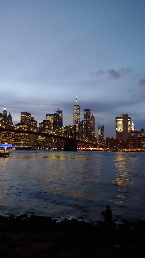 NYC_2020-01-30 17-37-05_CELL_20200130_173705